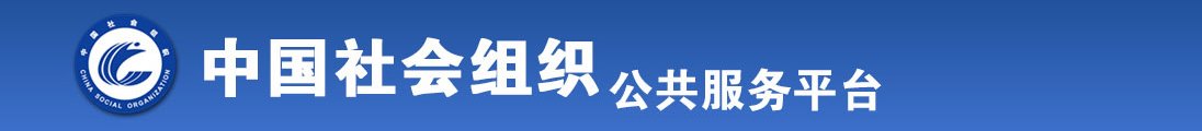 操B网站视频全国社会组织信息查询